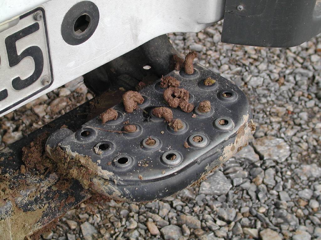 PA010583.JPG