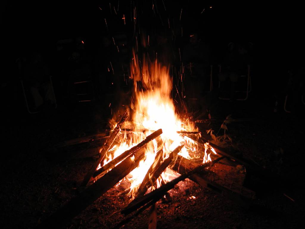 PA010687.JPG